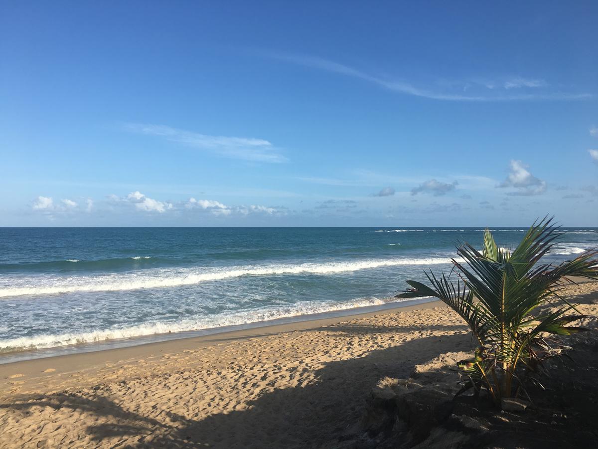 Apartamento Beach Class Eco Life Pôrto das Galinhas Eksteriør bilde